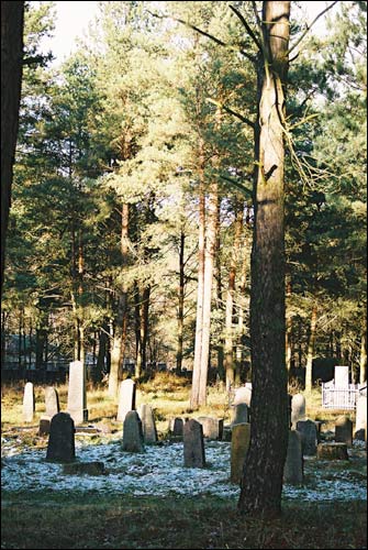 Hrodna |  cemetery Jewish. Jewish cemetery in Pyshki (11.2007)