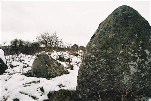  - Могілкі габрэйскія. Мацевы на індурскіх могілках (11.2007)