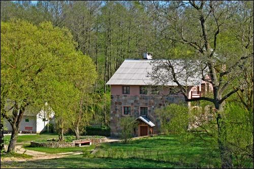 Василевичи. Мельница водяная 