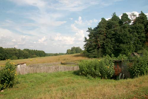 Dzieraviančycy (Brakava). Manor park of the Orda former Manor-place