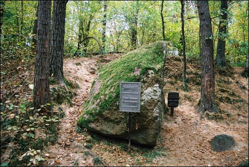  Камень филаретов (усадьба Тугановичи (Карчова)). 