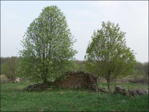 Zarzeczany. Dwór «Choroszewicze III»