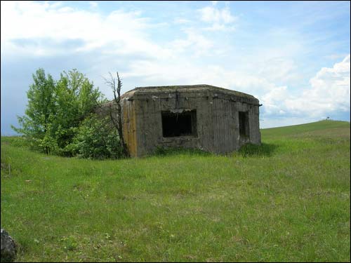 Sapockin.  Defensive Fortifications 