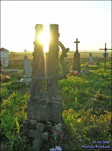  - Cmentarz stary katolicki. Fragment starego cmentarza