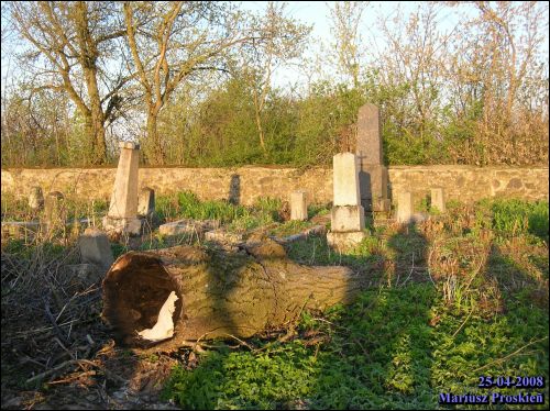  - Cmentarz stary katolicki. Fragment starego cmentarza
