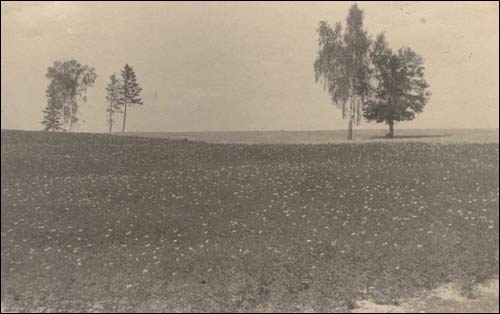 Łozki. Wieś na starych fotografiach 