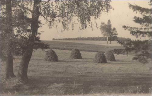 Łozki. Wieś na starych fotografiach 