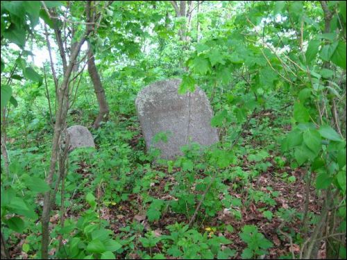 Забалацце. Могілкі татарскія (Мізар)