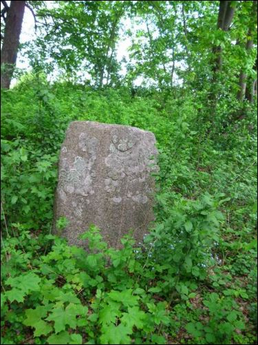 Забалацце. Могілкі татарскія (Мізар)