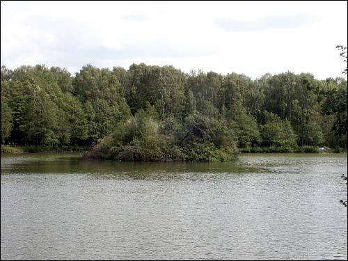 -  Sad botaniczny. Sadzawka