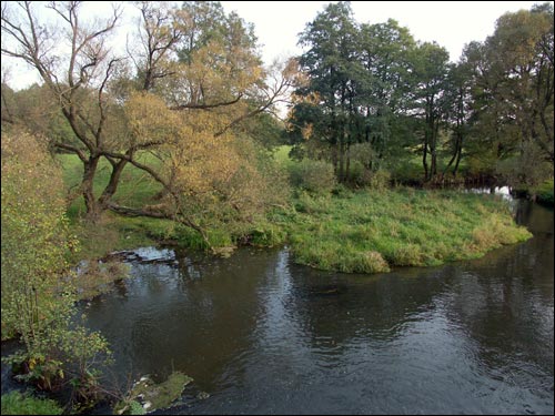  - Краявіды . р. Пціч