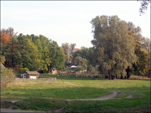  - Краявіды . Старадаўні парк Радзівілаў