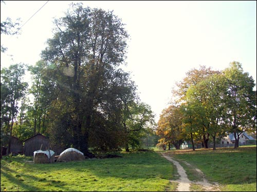  - Краявіды . Куток парку