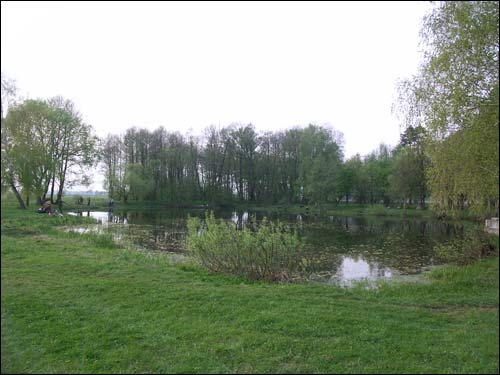  - Manor park of the Hutoŭski former Manor-place. Pond