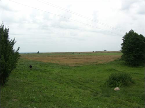 Kleck |   Bitwa pod Kleckiem. Pole, na którym wojska Wielkiego Księstwa Litewskiego pod dowództwem kniazia M. Glińskiego stoczyły bitwę z Tatarami Krymskimi