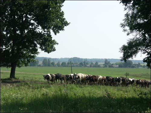 Karack. Landscapes 