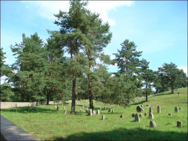Друя. Кладбище еврейское