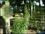 Głębokie.  Cmentarz żołnierzy polskich poległych podczas wojny 1920 r.