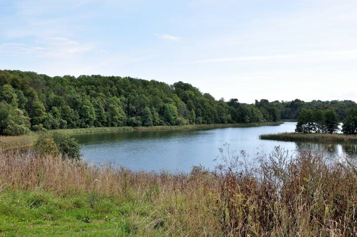 Leskavičy. Landscapes 