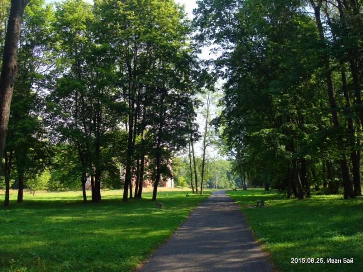  - Zespół dworsko-parkowy . 