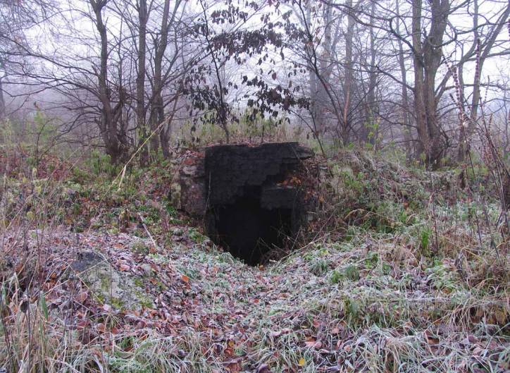  - Приусадебный парк (остатки). 