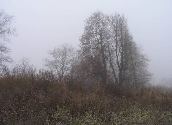  - Приусадебный парк (остатки). 