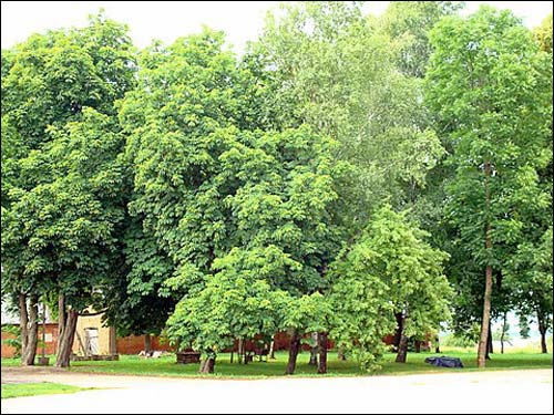  - Manor of Jeleński. 