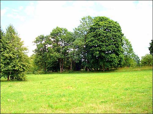  - Manor of Jeleński. 