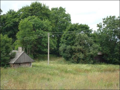  - Сядзіба . Погляд на гаспадарчыя пабудовы і парк, 07.2008