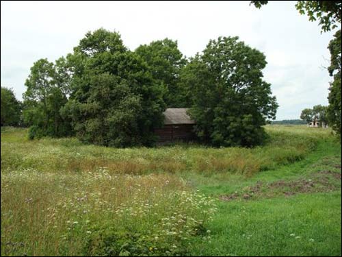  - Сядзіба . Рэшткі прысядзібных насаджэнняў, 07.2008
