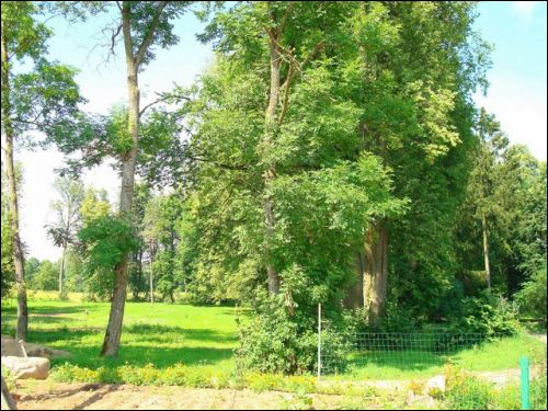 Raudondvaris. Manor 