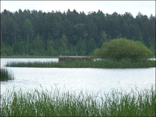 Nabieražnaja (Vońki). Landscapes 