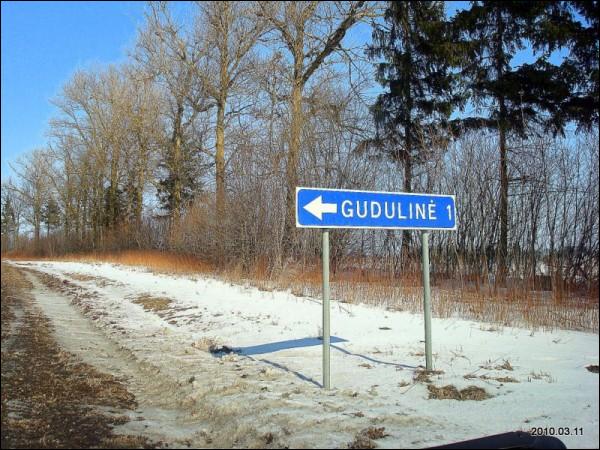 Gudulinė.  In the village 