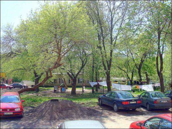  - Estate . 
