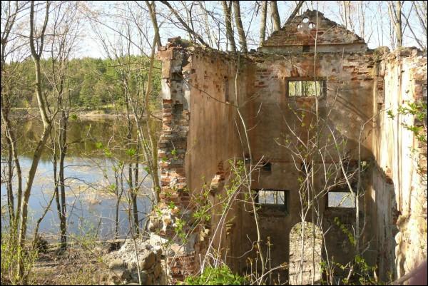 Bahatyrevičy. Farmstead 