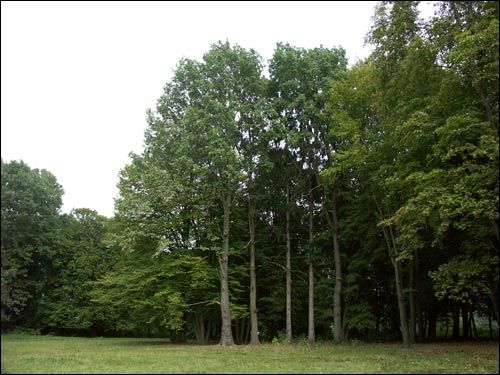 Aciačyzna (Leninski). Manor of Bielski