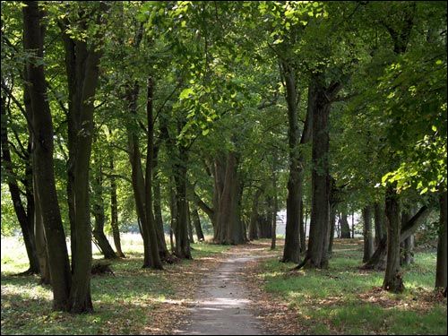 - Manor of Bielski. 