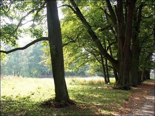  - Manor of Bielski. 