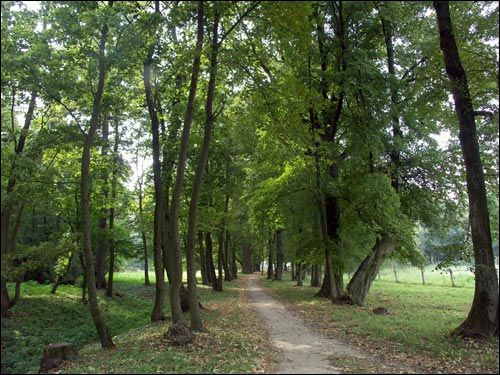  - Manor of Bielski. 