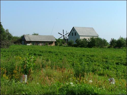Macijevičy. Landscapes 