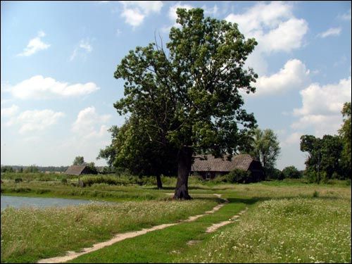 Špitali. Farmstead 