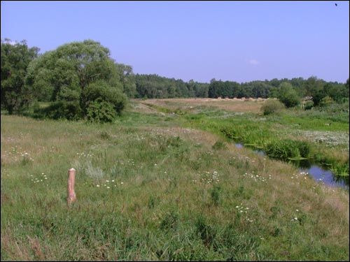 Siechnowicze Wielkie. Krajobrazy 