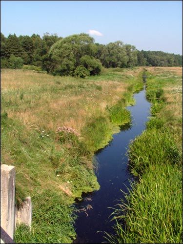 Siechnowicze Wielkie. Krajobrazy 