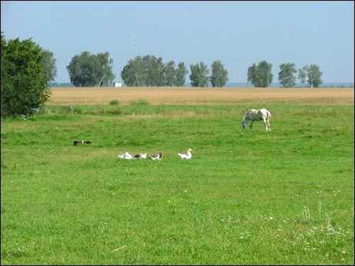 Siechnowicze Wielkie. Krajobrazy 