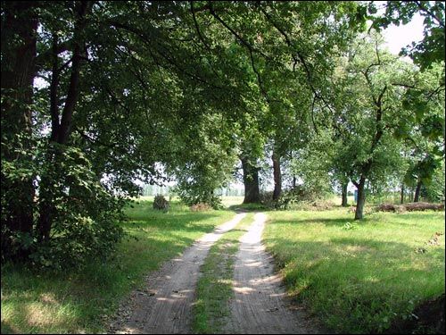 Landscapes  .   - Landscapes .