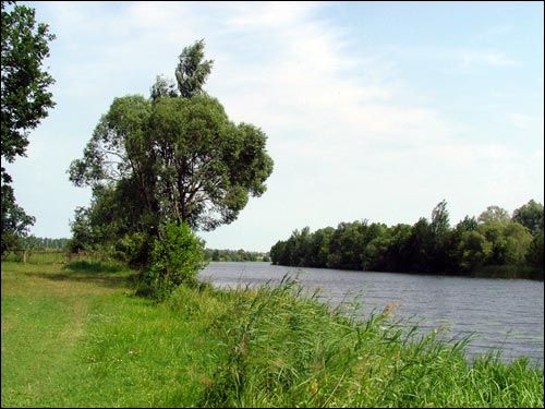 Landscapes  .   - Landscapes .