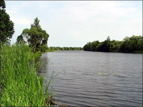 Zdzitava. Landscapes 