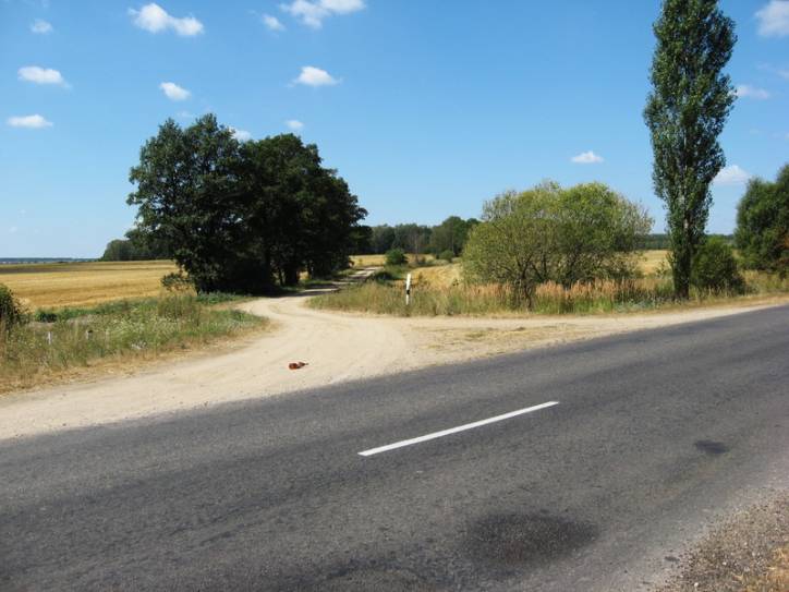  -  Źródło. 