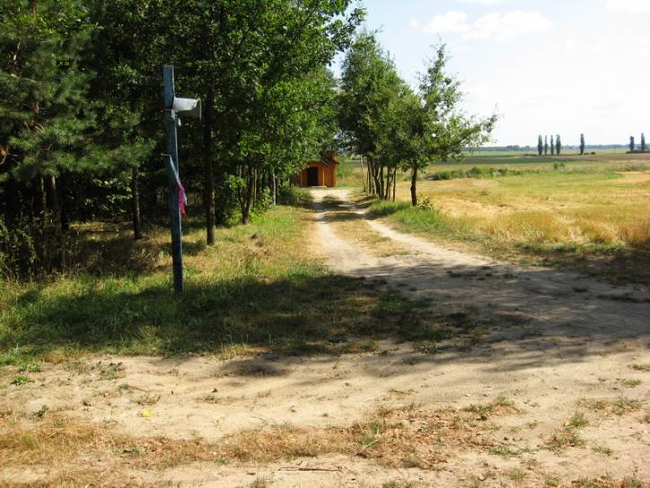  -  Źródło. 