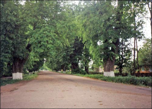 Zakoziel.  Park dworski (pozostałości)